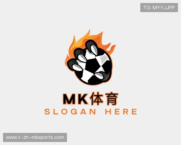 解读mk体育官网入口